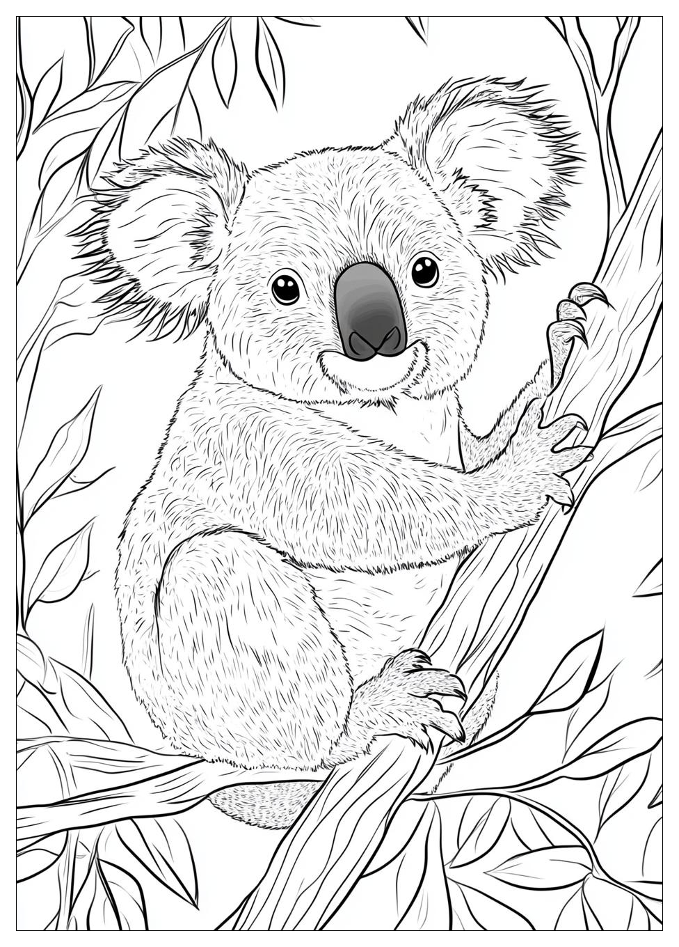 koala_coloring_pages_7