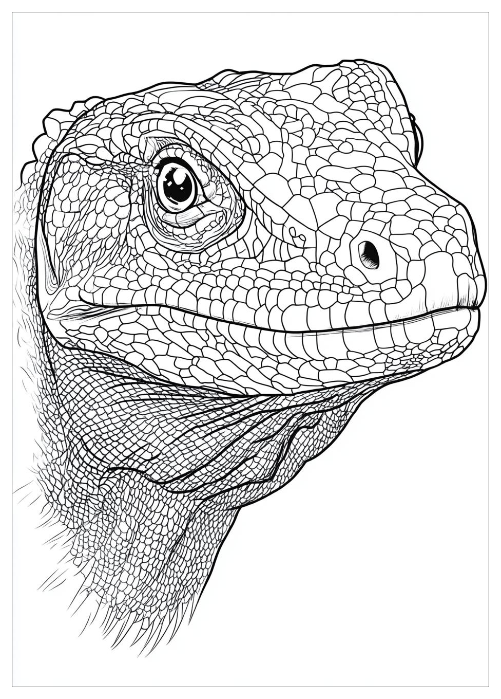 komodo_dragon_coloring_pages_23