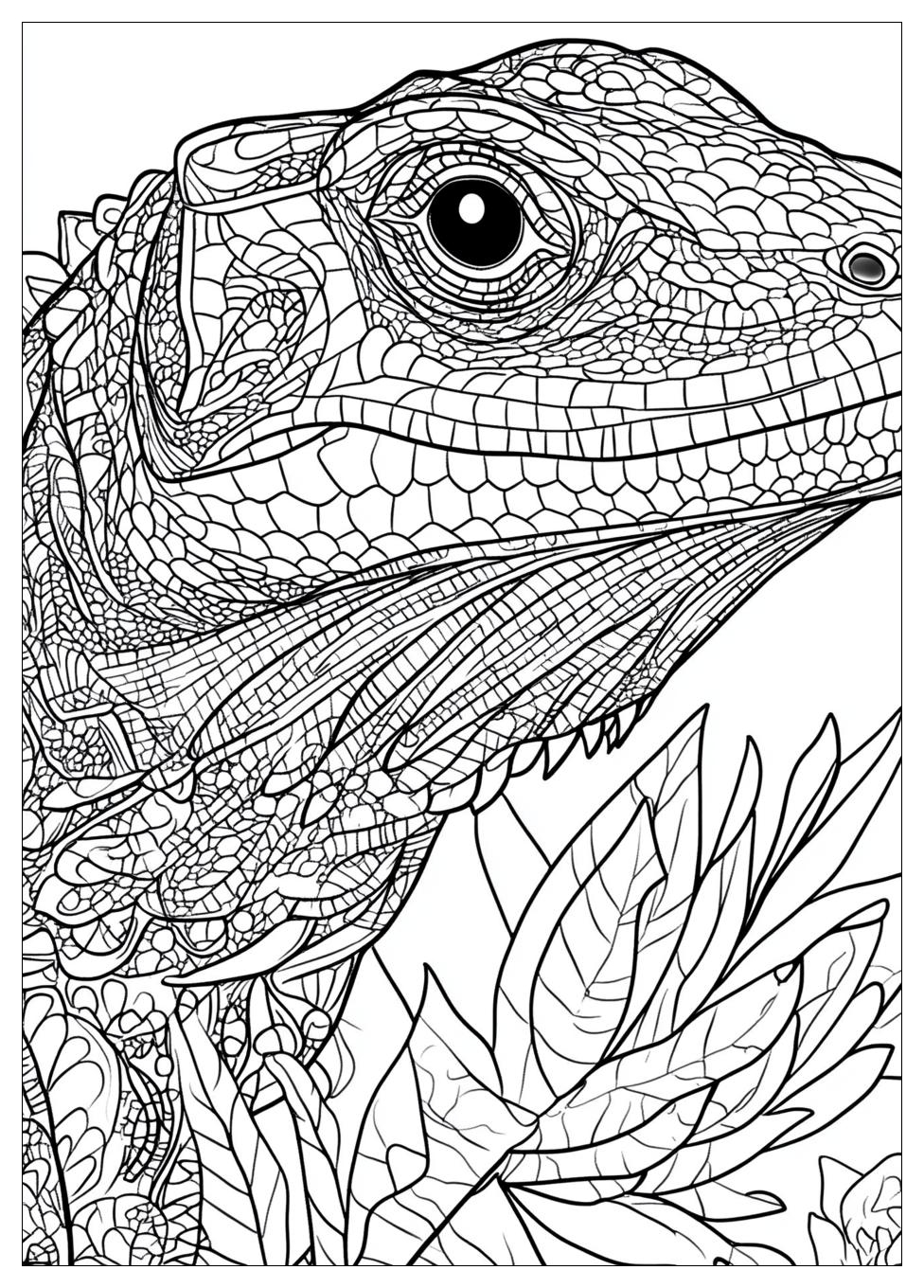 komodo_dragon_coloring_pages_24