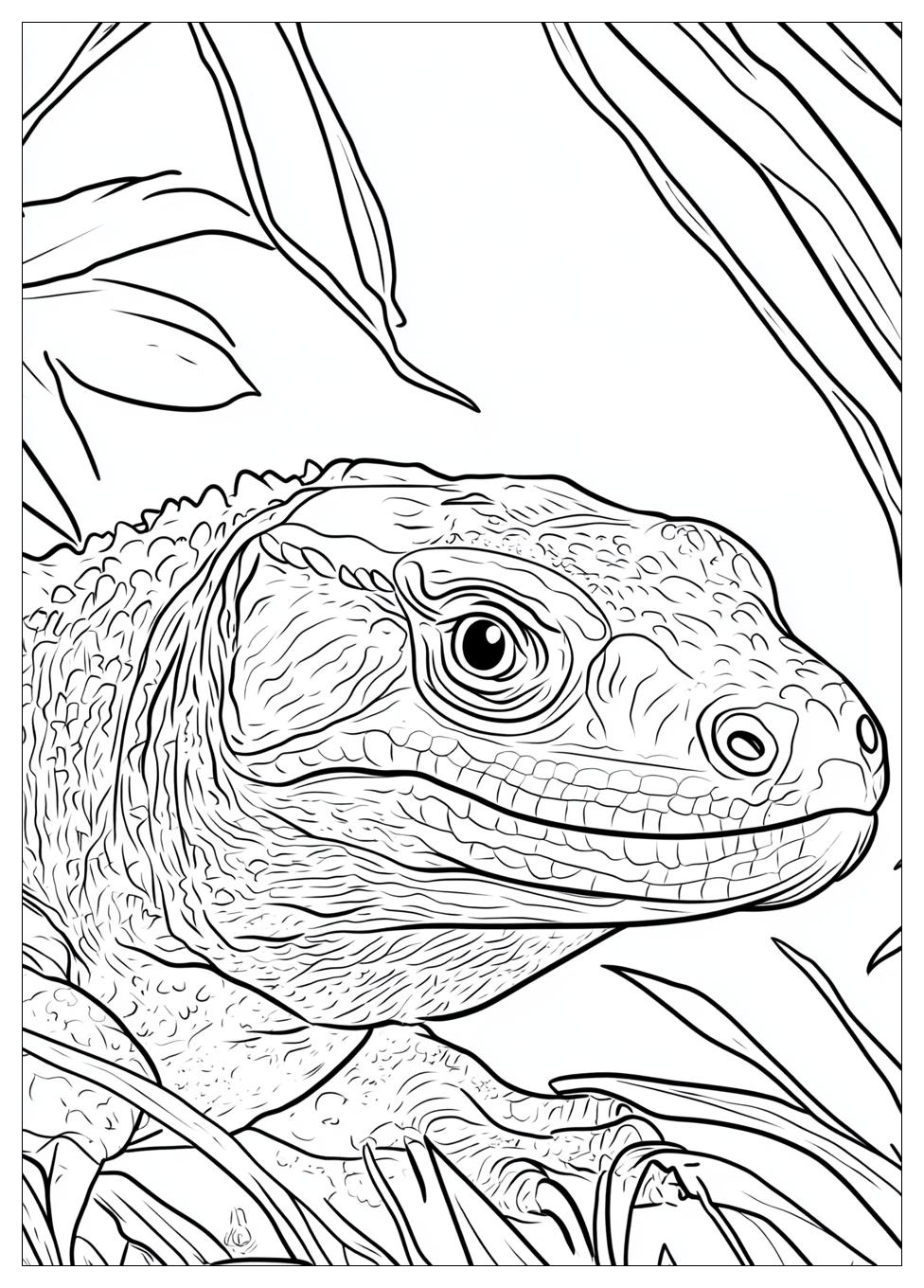 komodo_dragon_coloring_pages_3