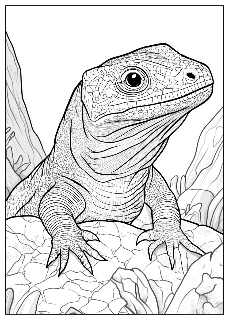 komodo_dragon_coloring_pages_4