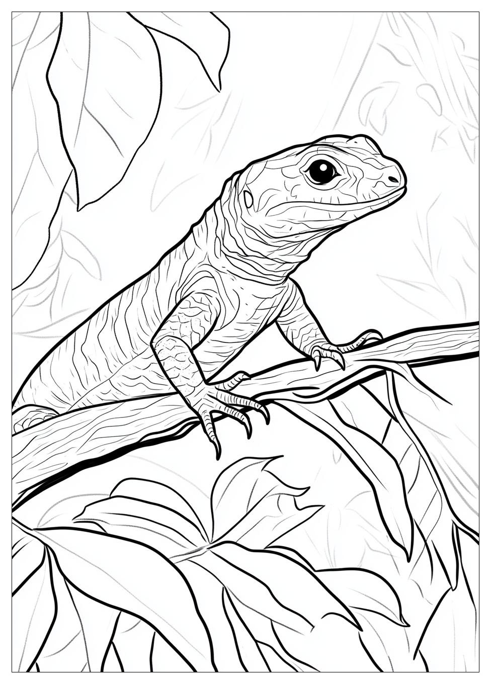 lizard_coloring_pages_4