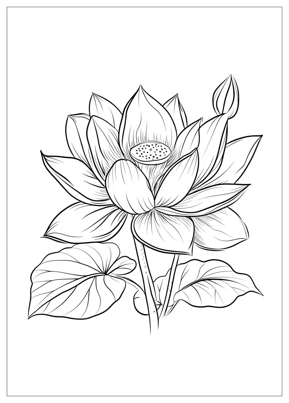lotus_flower_coloring_pages_14