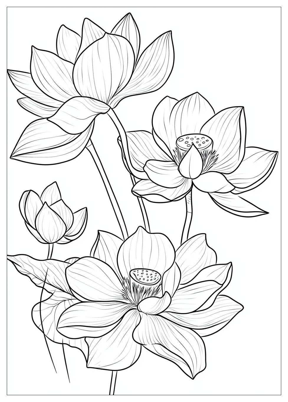 lotus_flower_coloring_pages_18