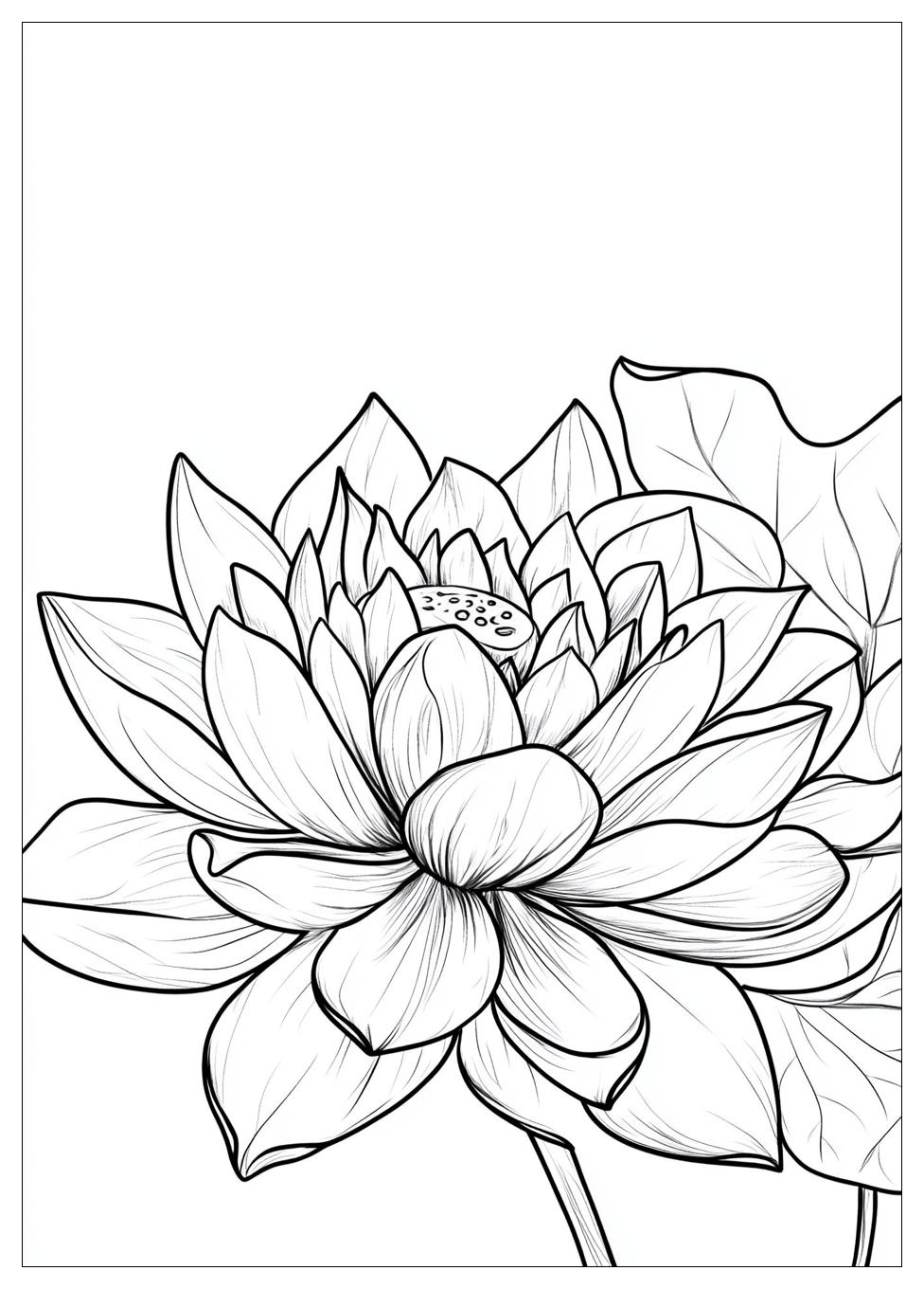 lotus_flower_coloring_pages_20