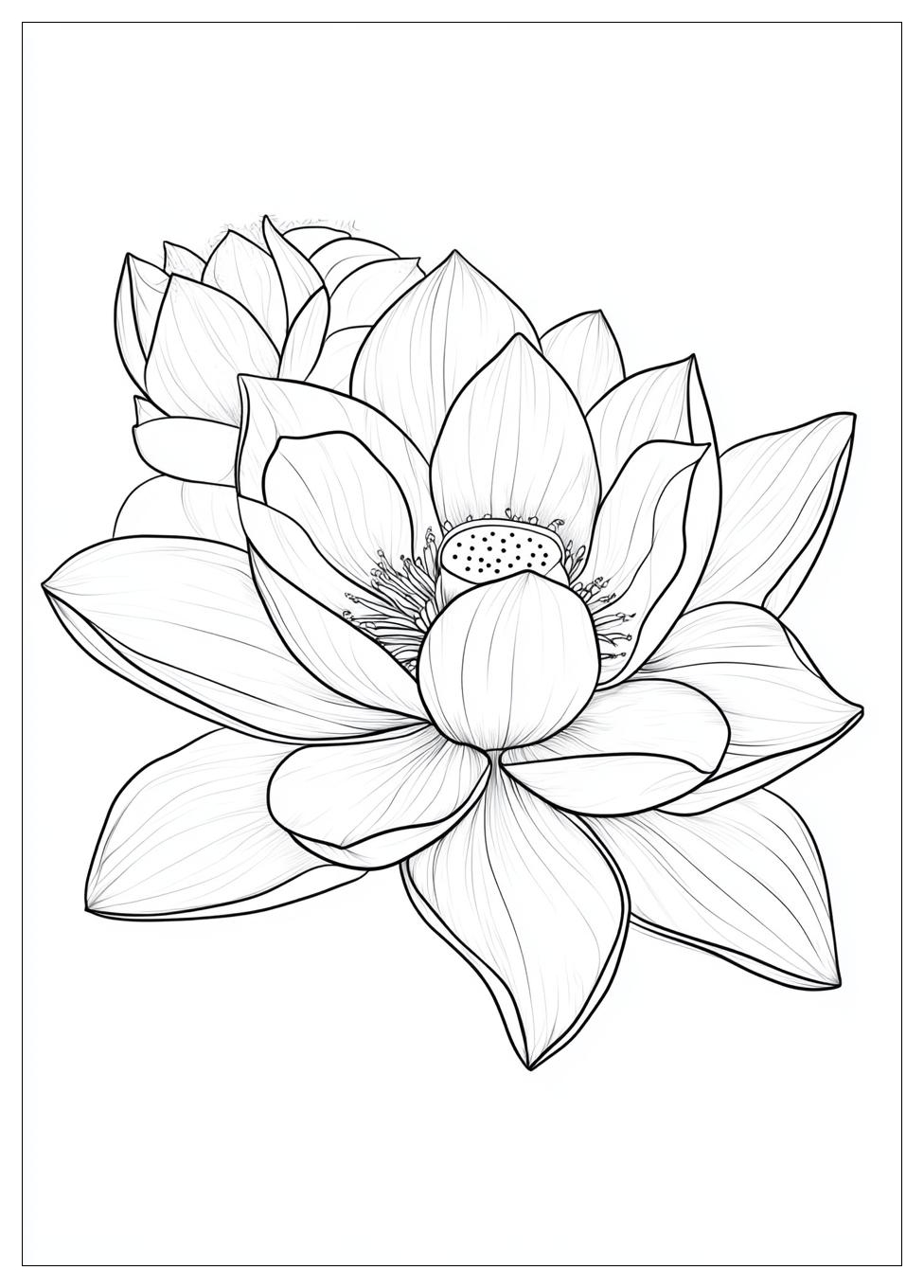 lotus_flower_coloring_pages_23