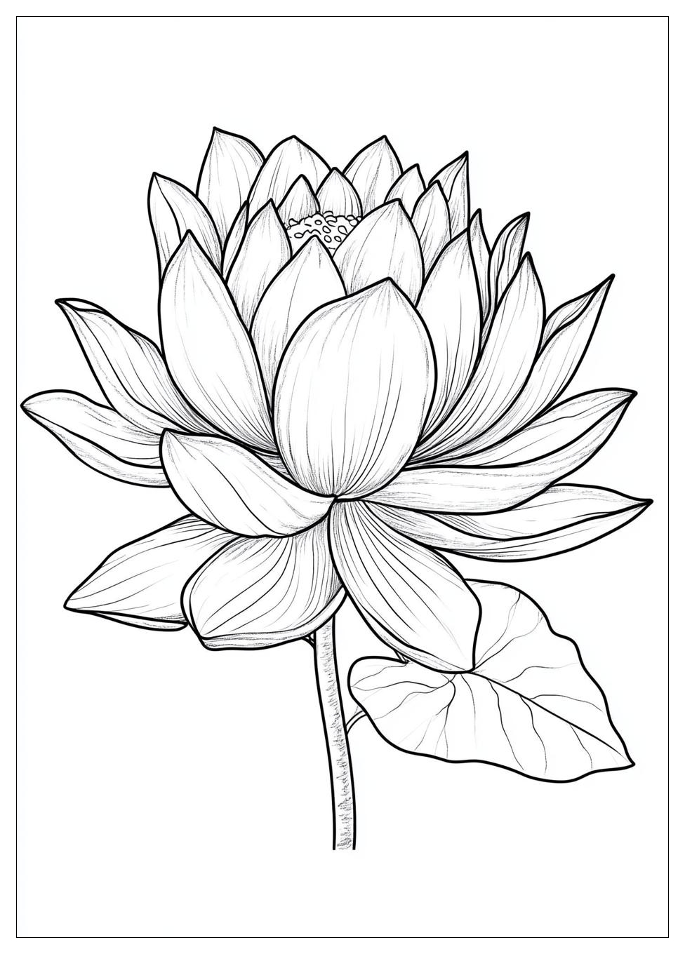 lotus_flower_coloring_pages_24