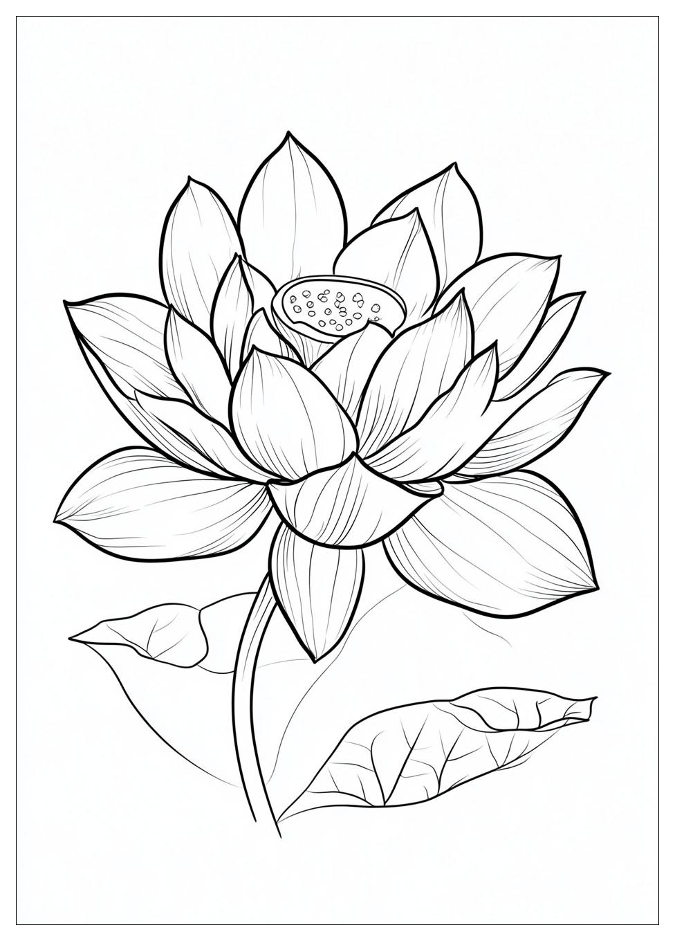 lotus_flower_coloring_pages_5