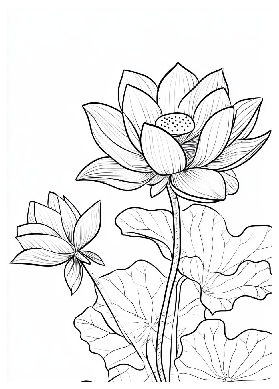 lotus_flower_coloring_pages_6