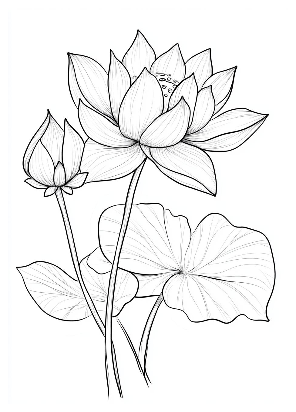lotus_flower_coloring_pages_8
