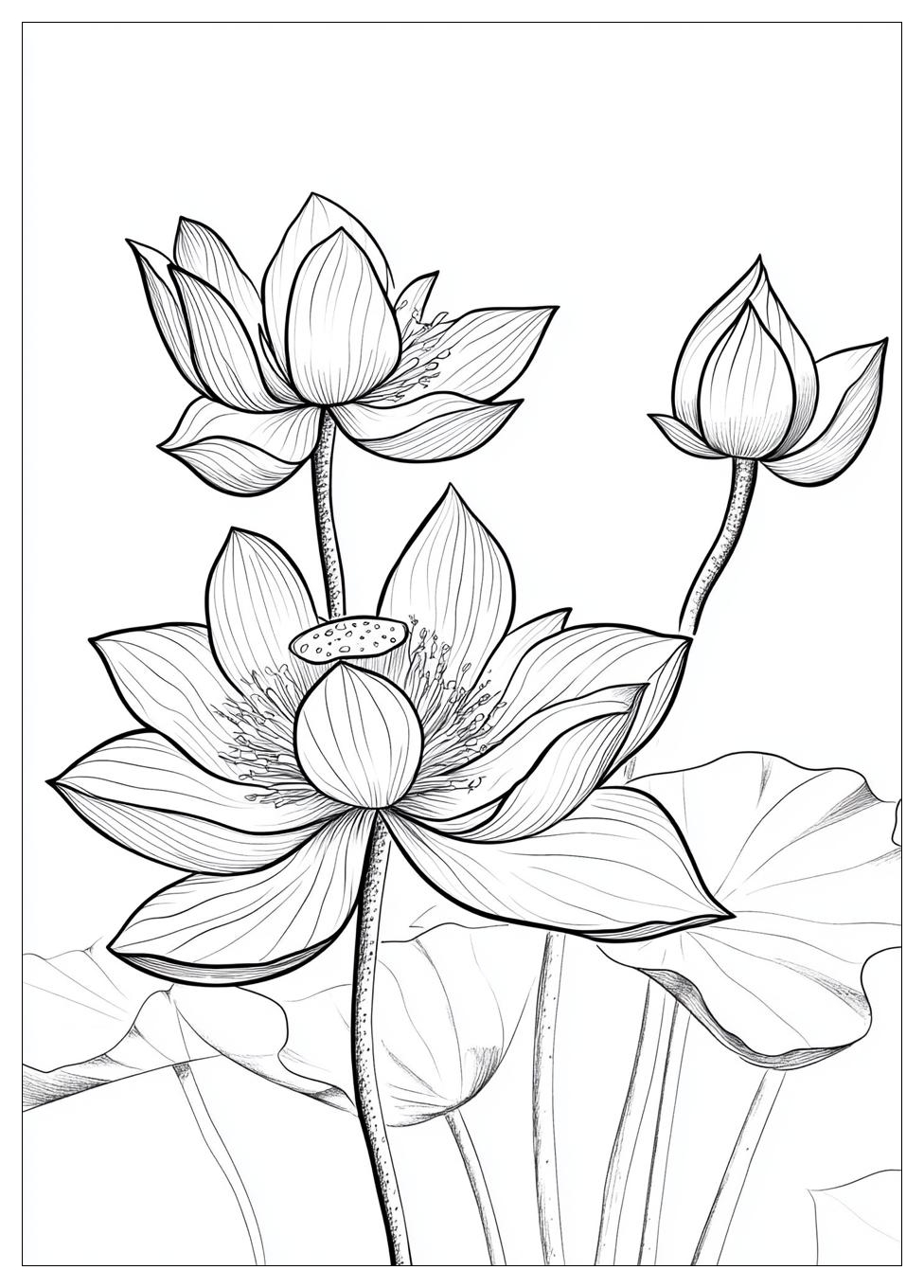 lotus_flower_coloring_pages_9