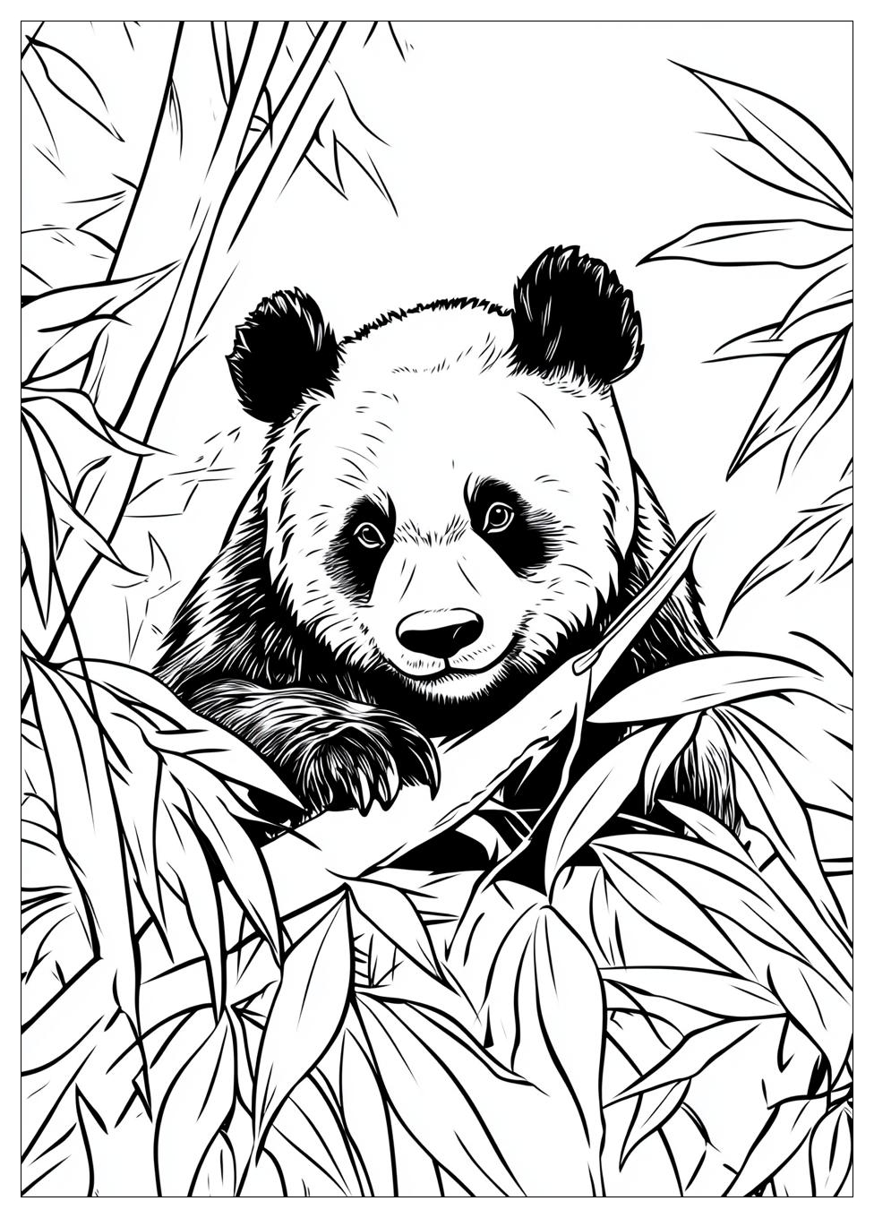 panda_coloring_pages_23