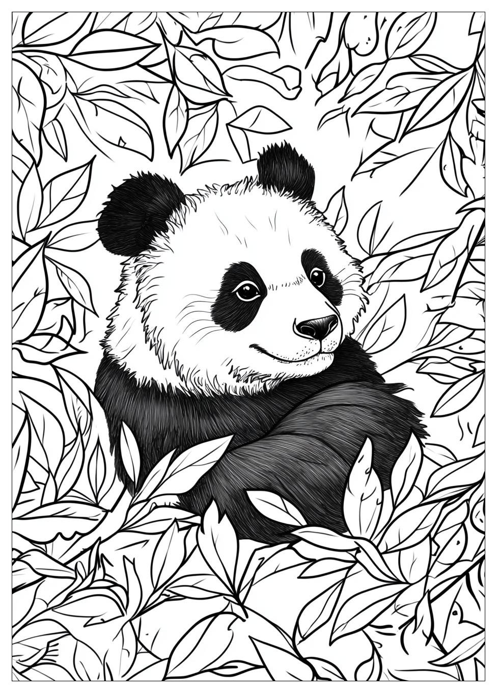 panda_coloring_pages_24