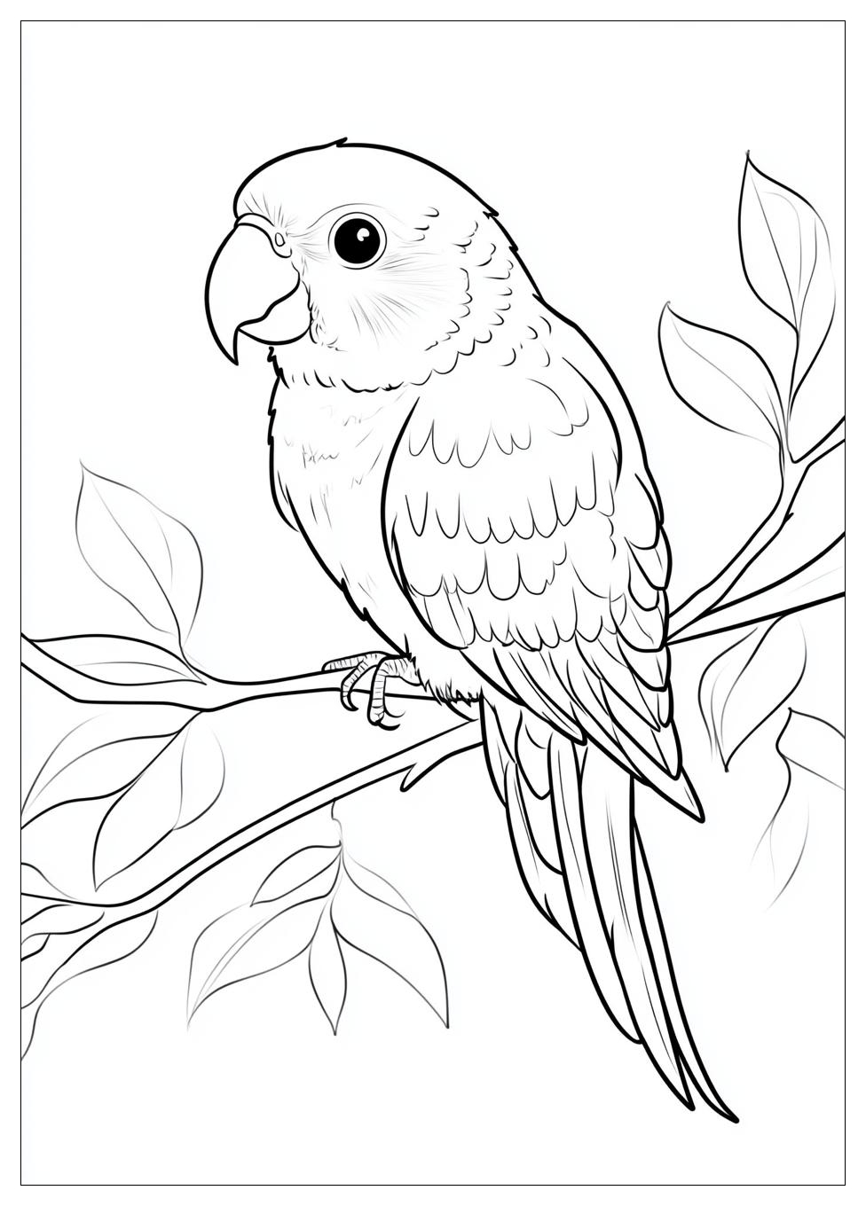 parrot_coloring_pages_1