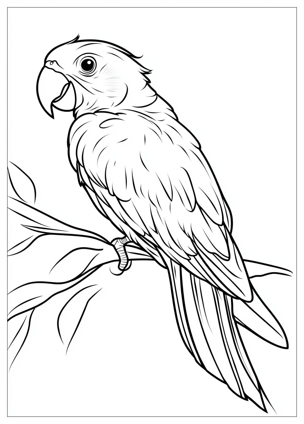 parrot_coloring_pages_10