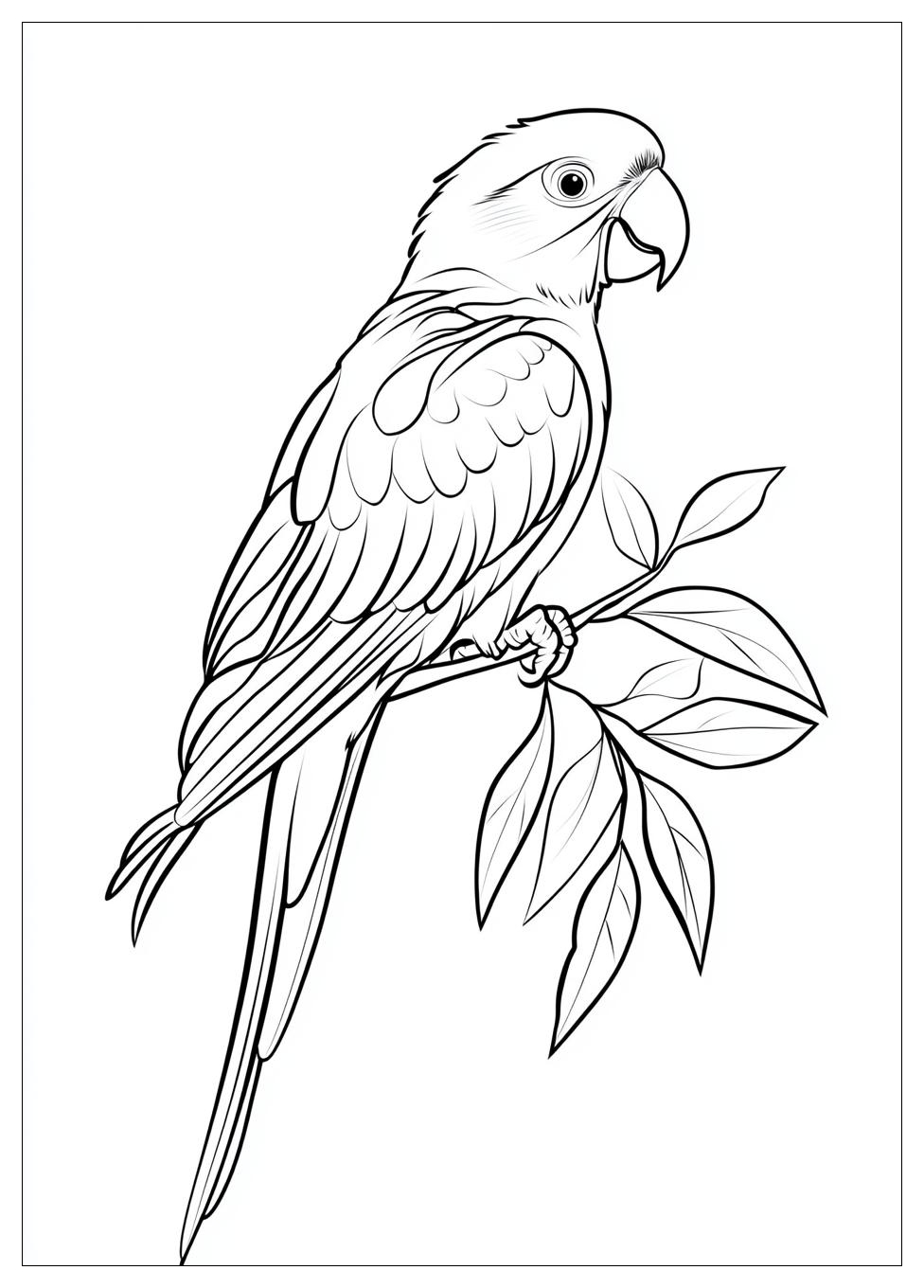 parrot_coloring_pages_16