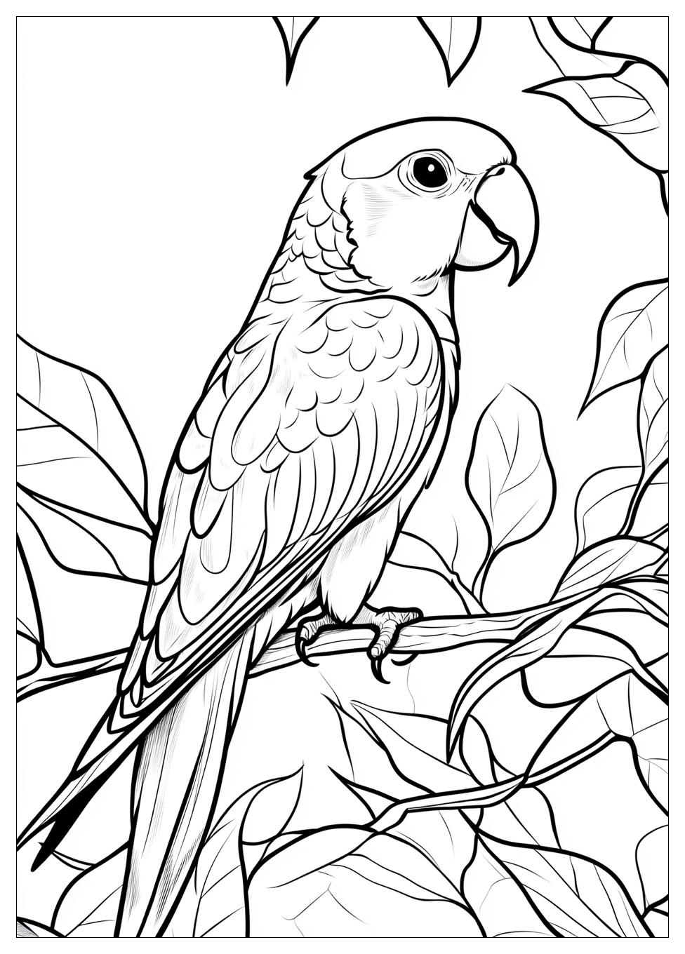 parrot_coloring_pages_17