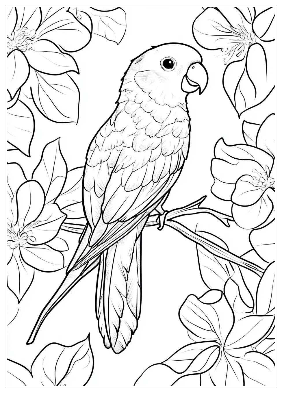 parrot_coloring_pages_2
