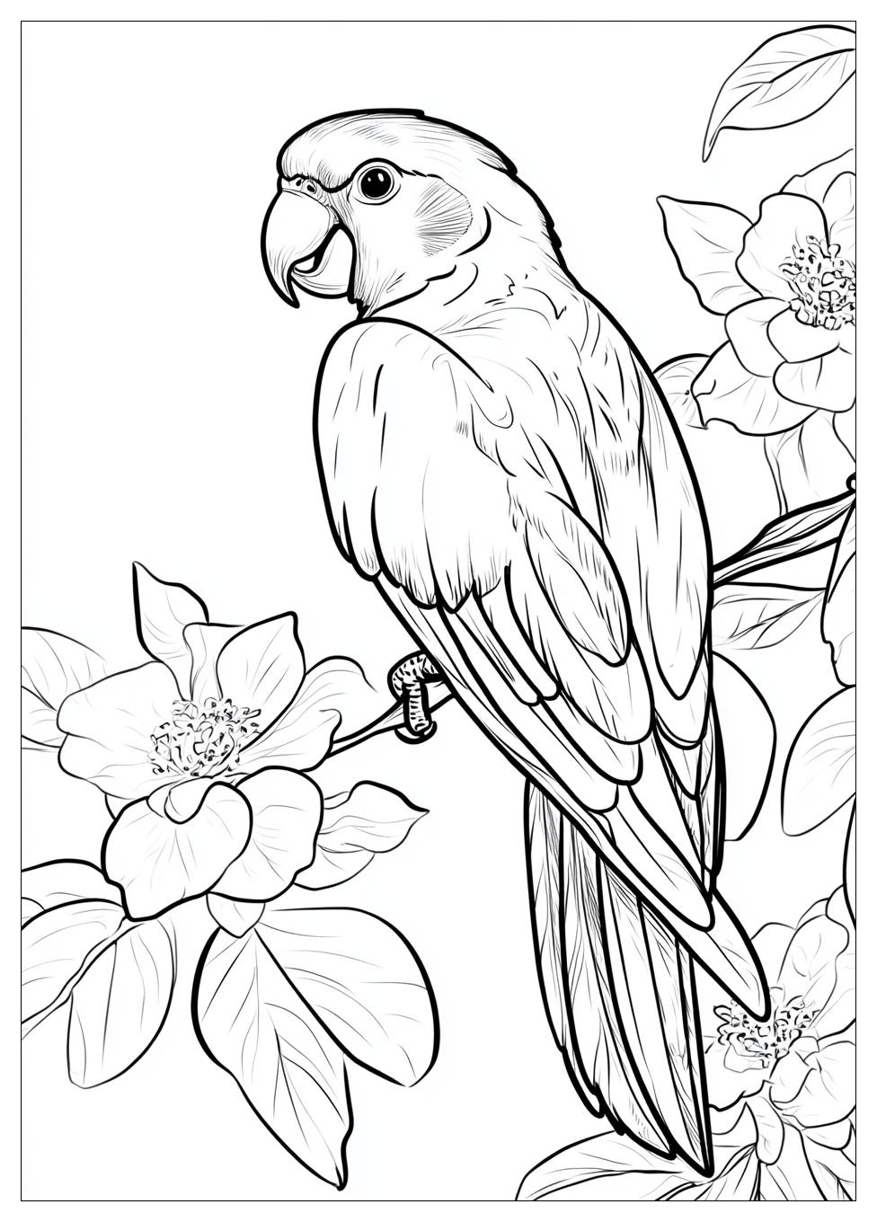 parrot_coloring_pages_20