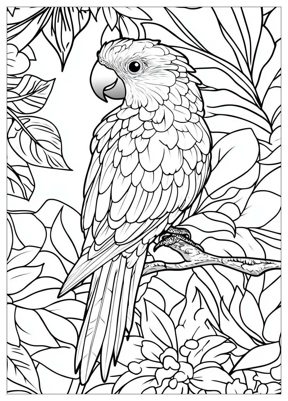 parrot_coloring_pages_21