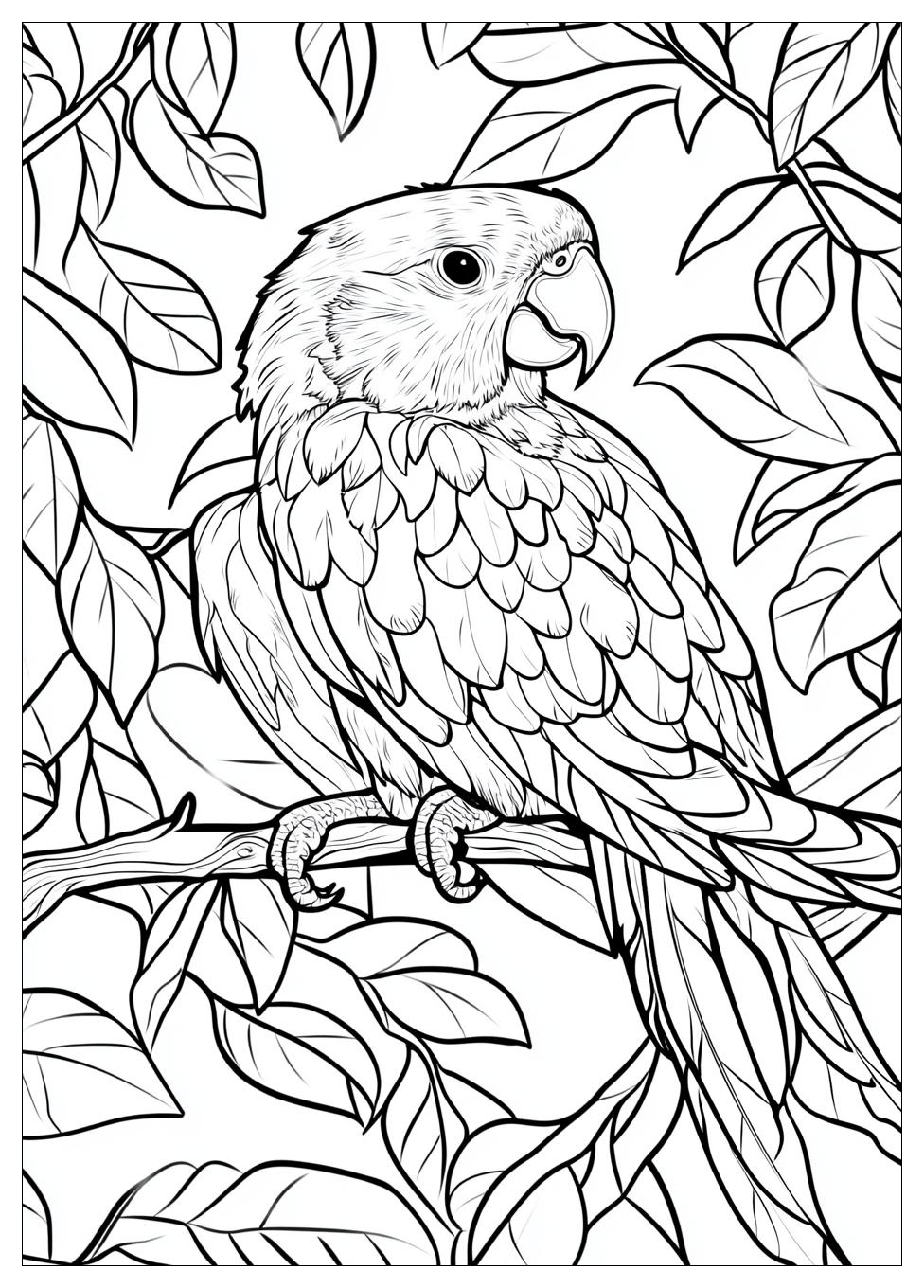 parrot_coloring_pages_22