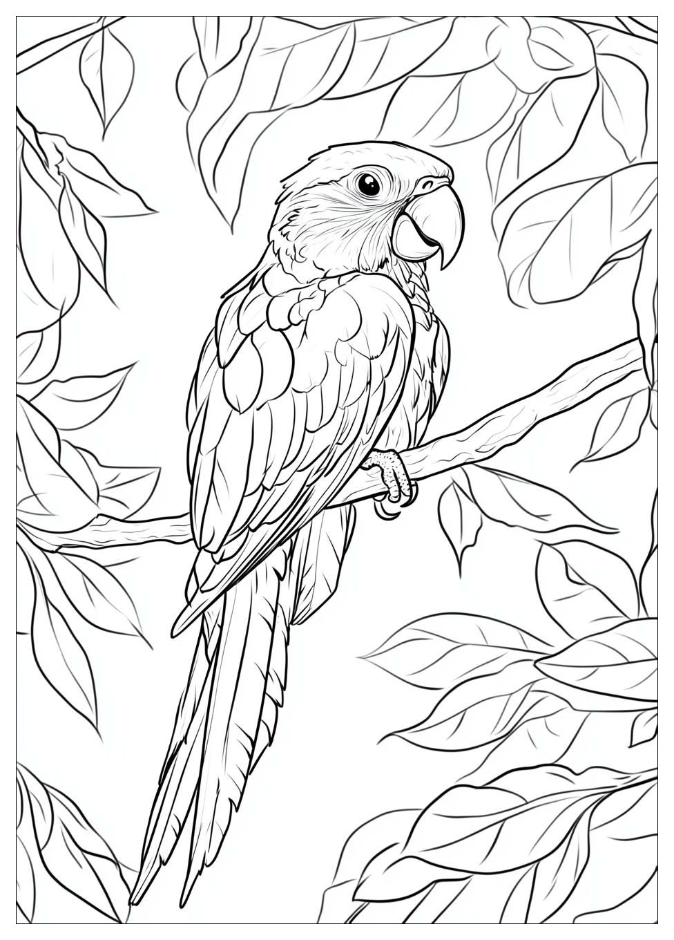 parrot_coloring_pages_23