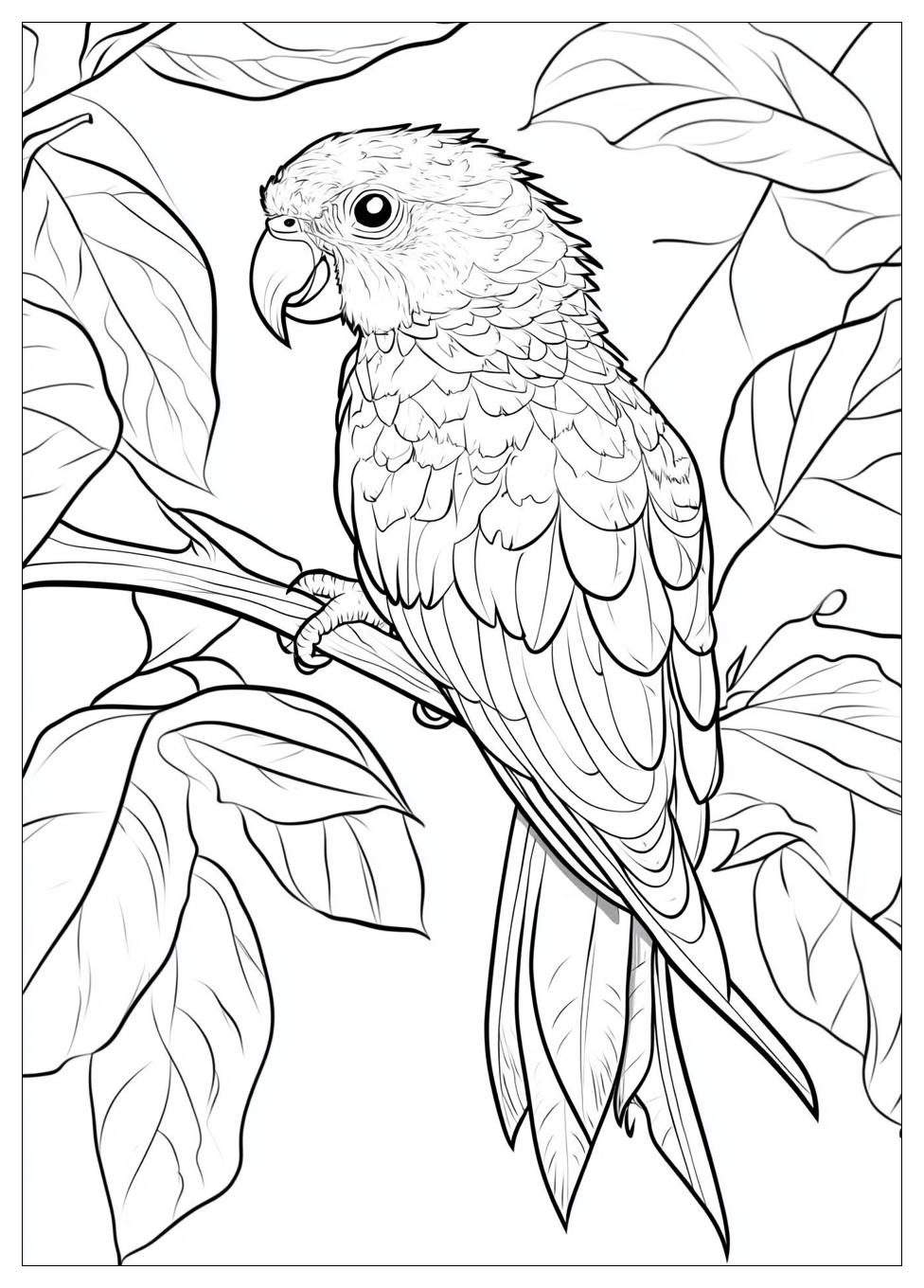 parrot_coloring_pages_24