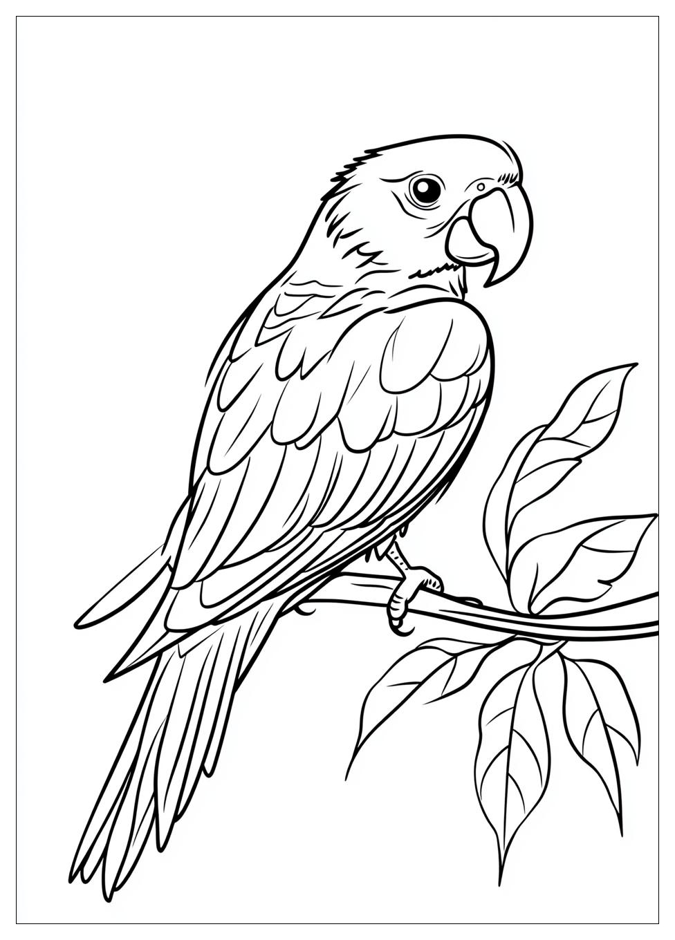 parrot_coloring_pages_4