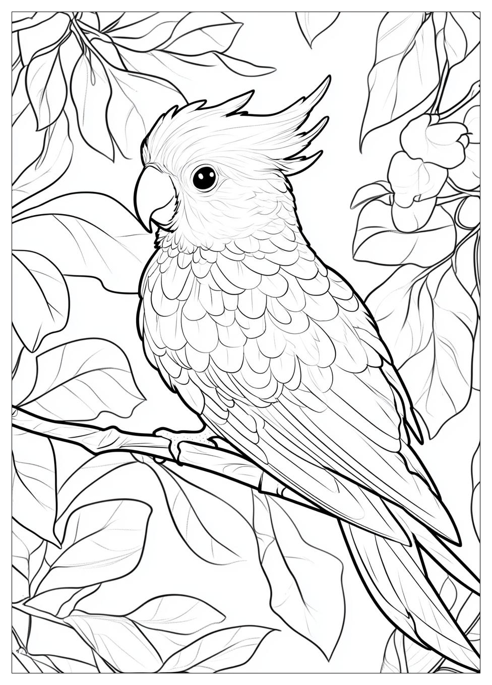 parrot_coloring_pages_6