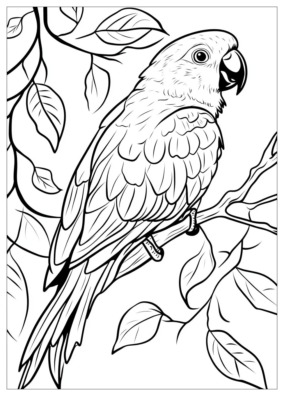 parrot_coloring_pages_8