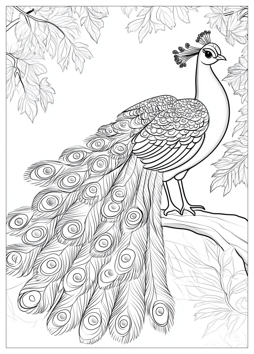 peacock_coloring_pages_17