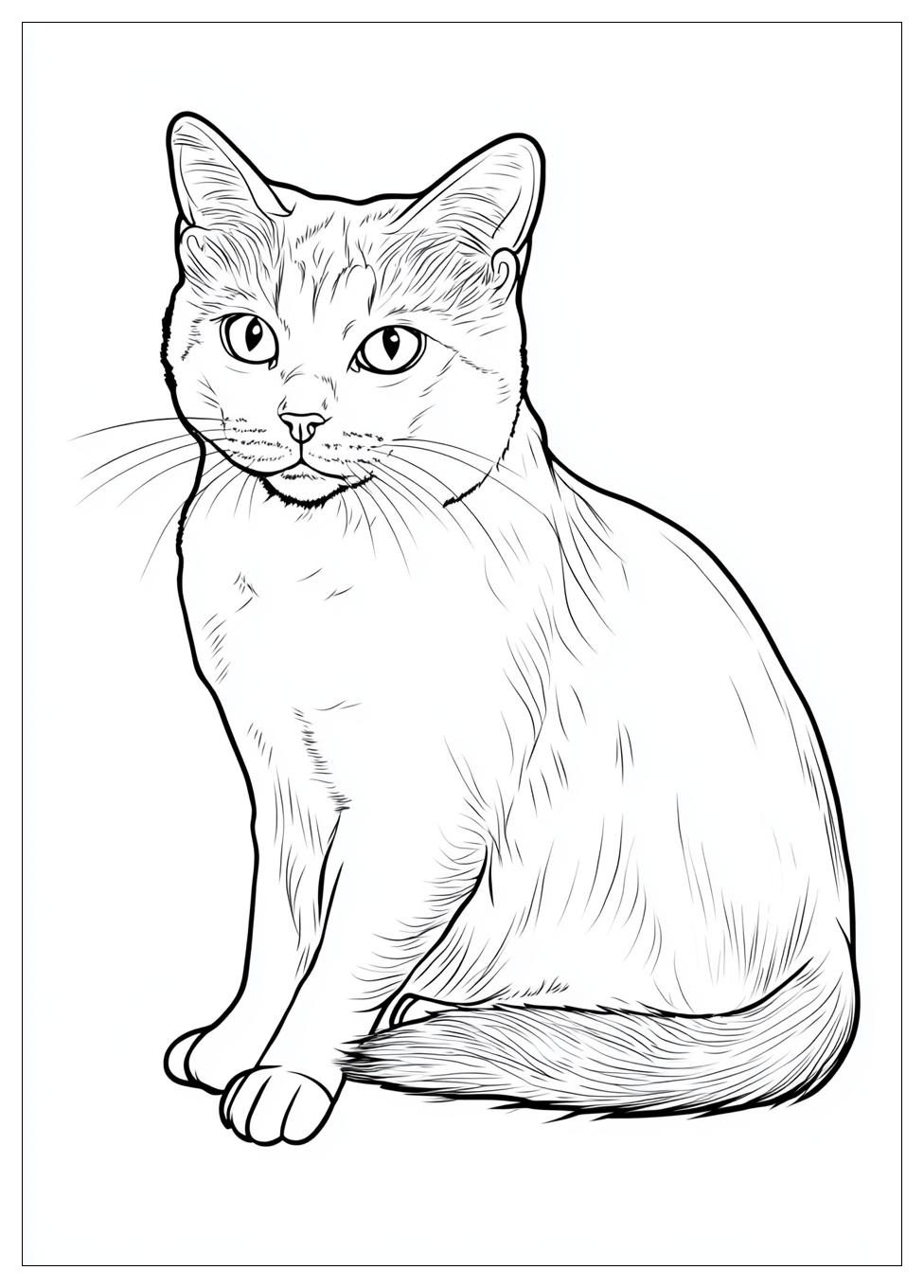 realistic_cat_coloring_pages_14