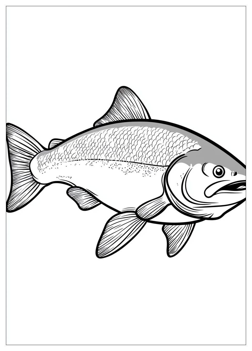 salmon_coloring_pages_20