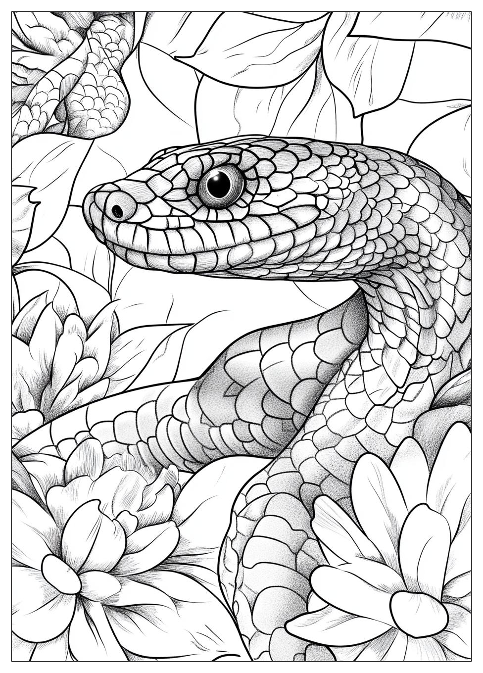 snake_coloring_pages_23