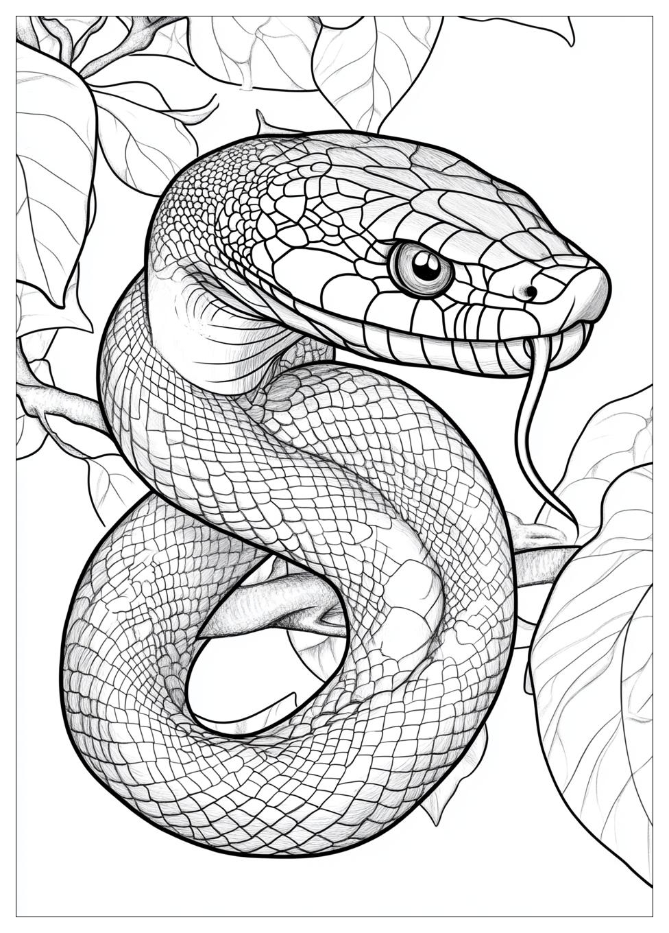 snake_coloring_pages_24
