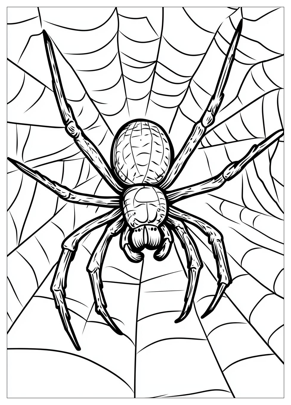 spider_coloring_pages_10