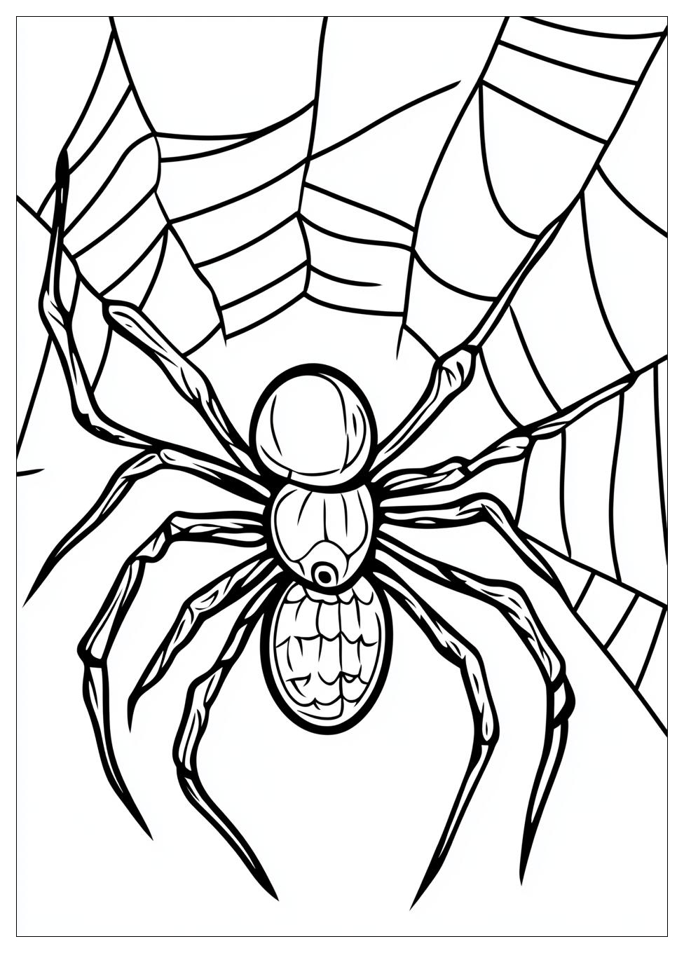 spider_coloring_pages_12