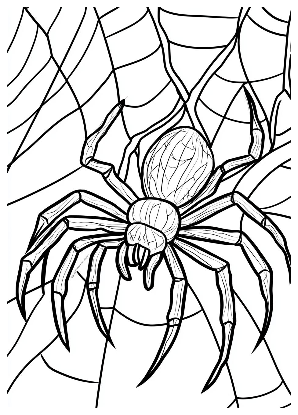 spider_coloring_pages_13