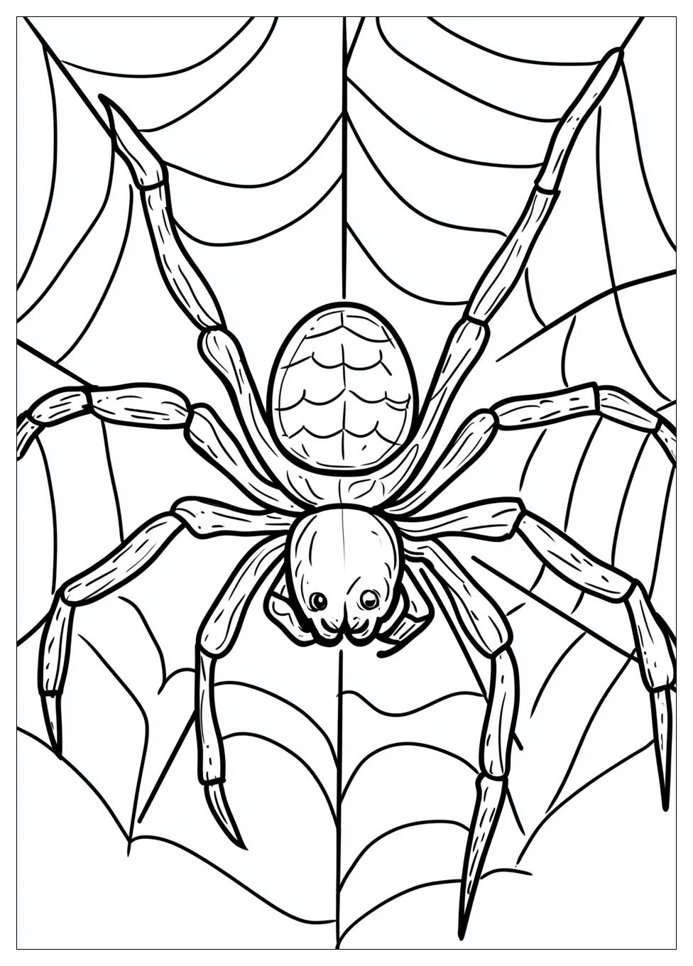 spider_coloring_pages_14