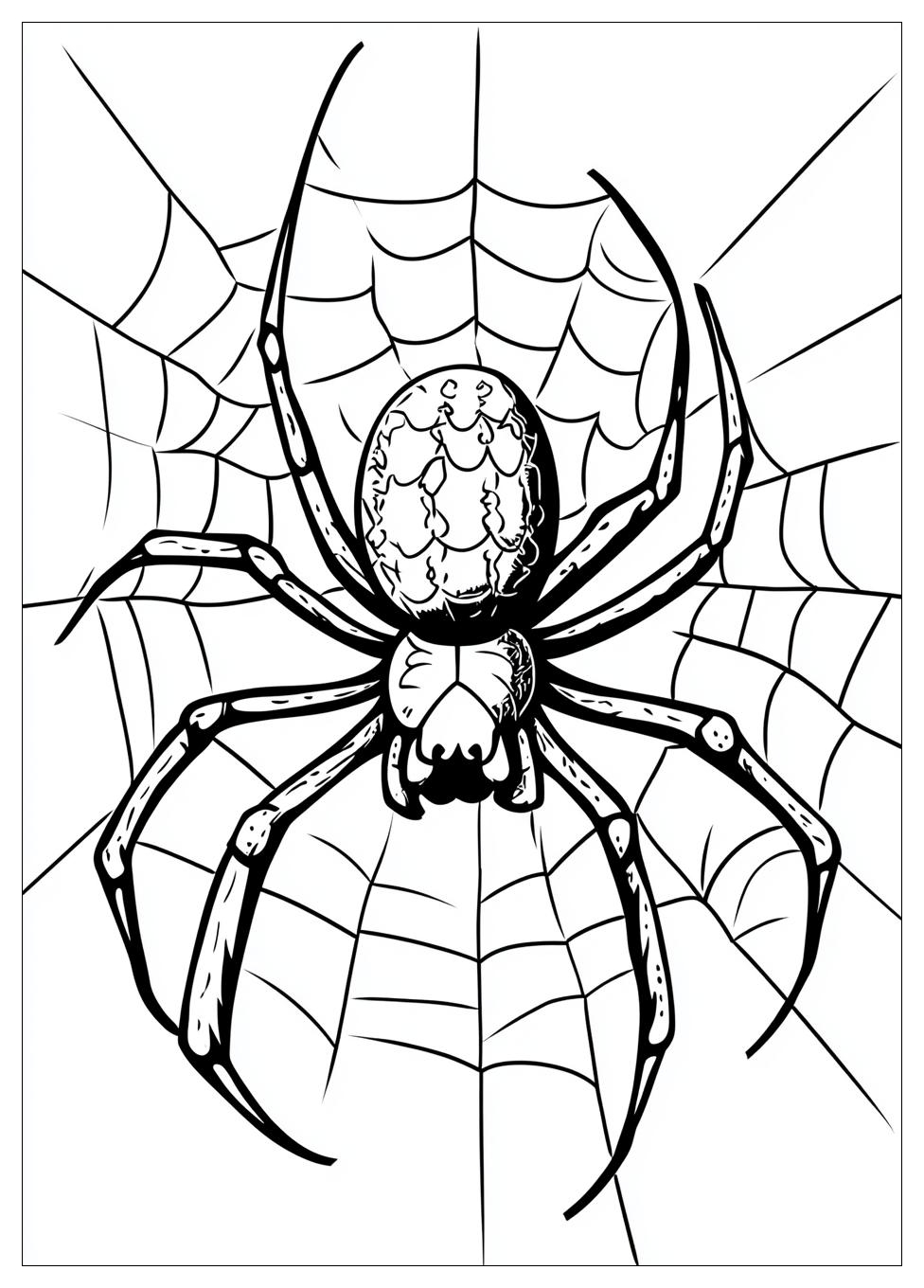 spider_coloring_pages_16