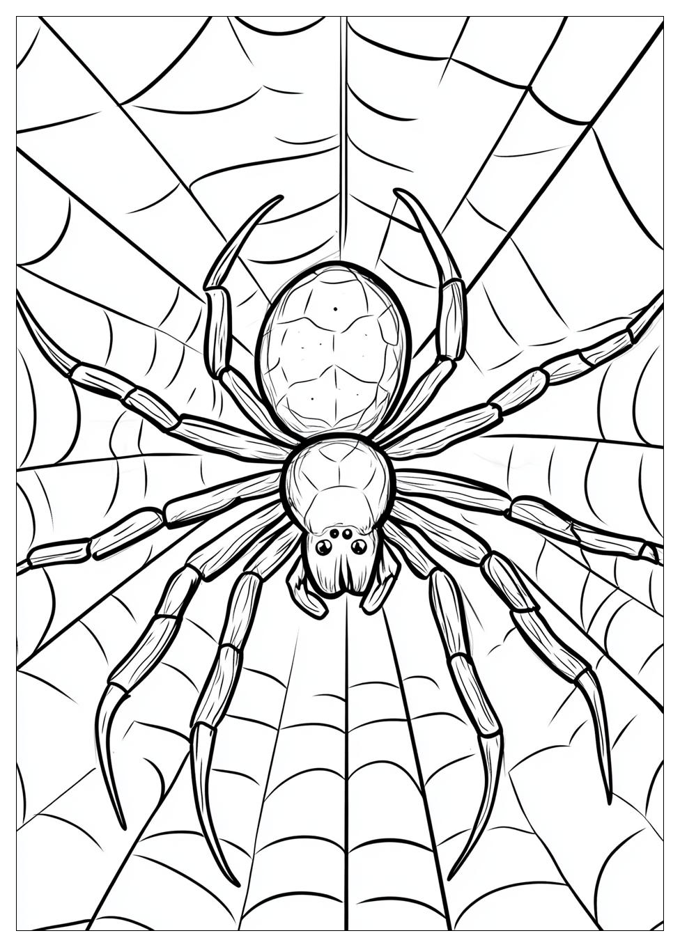 spider_coloring_pages_17