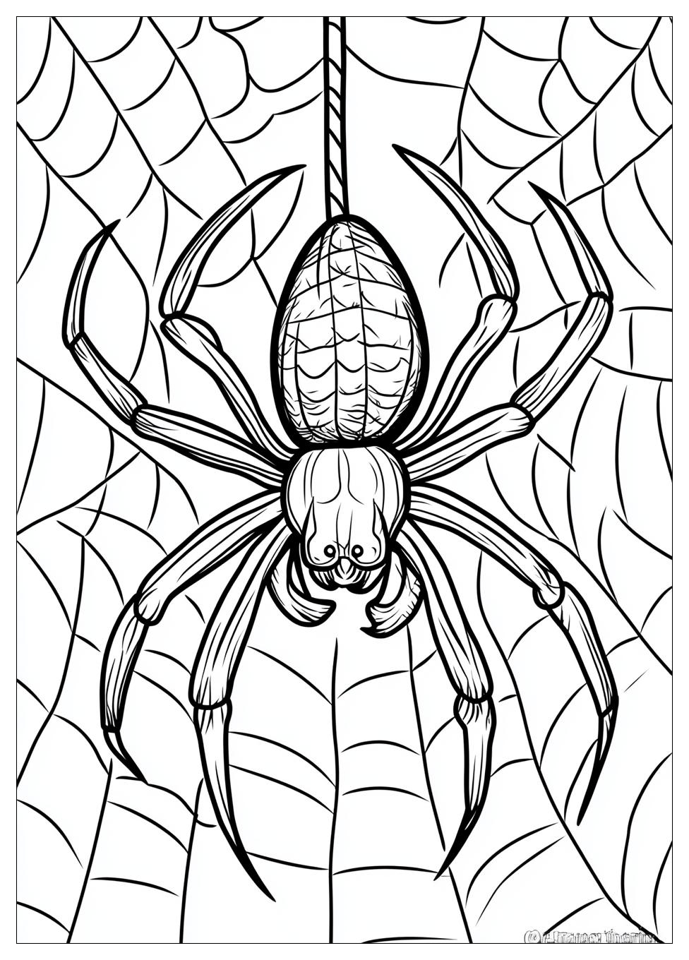 spider_coloring_pages_18
