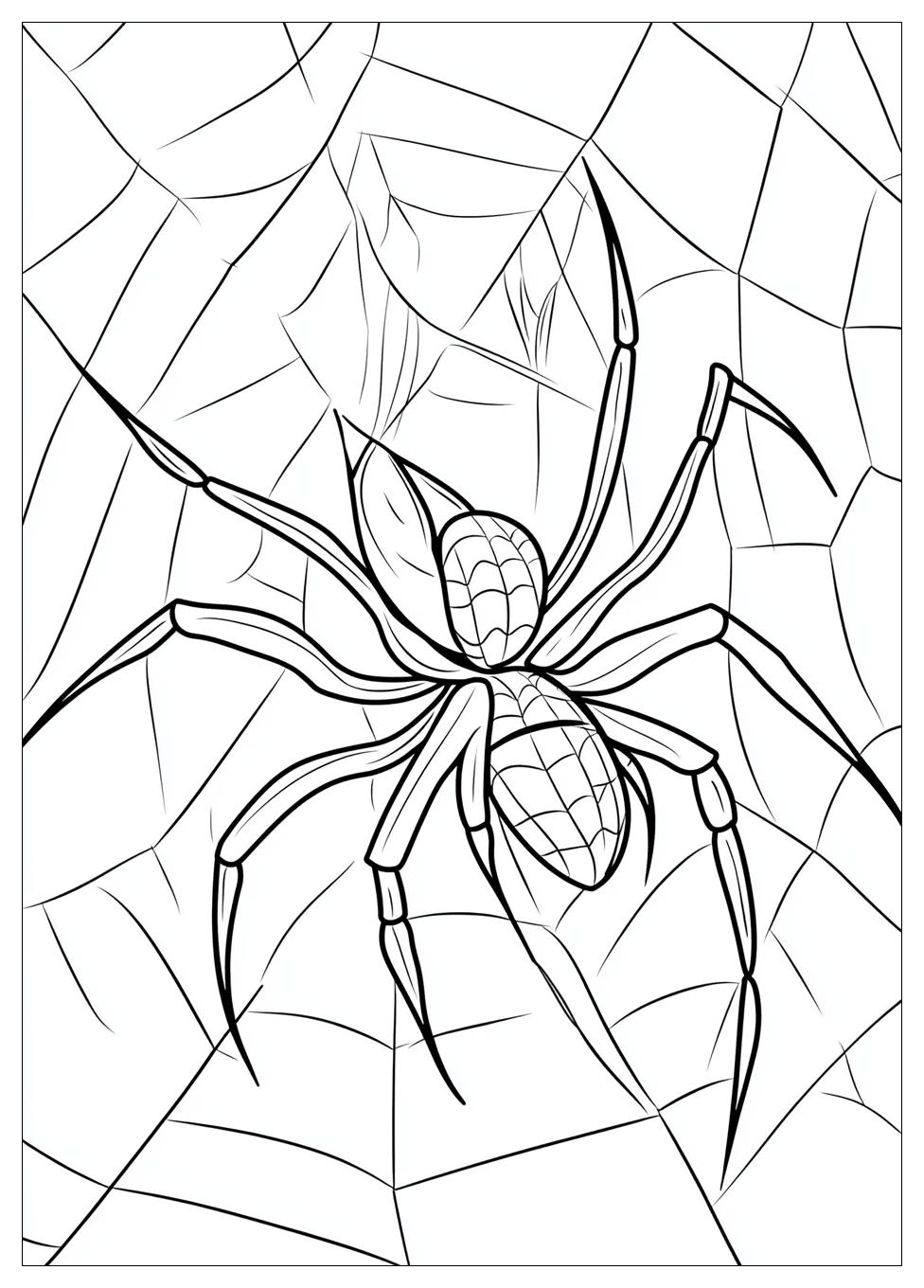 spider_coloring_pages_19