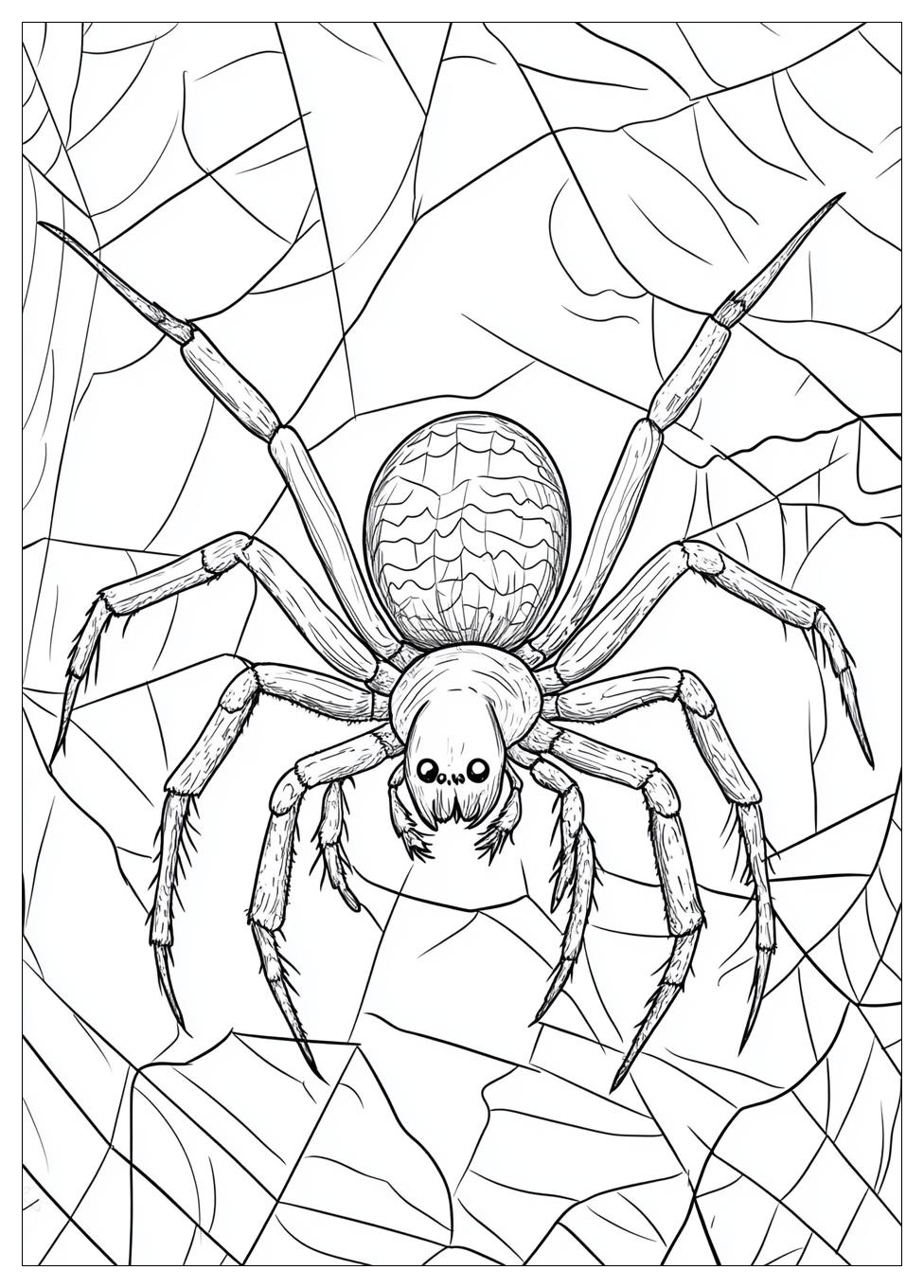 spider_coloring_pages_2