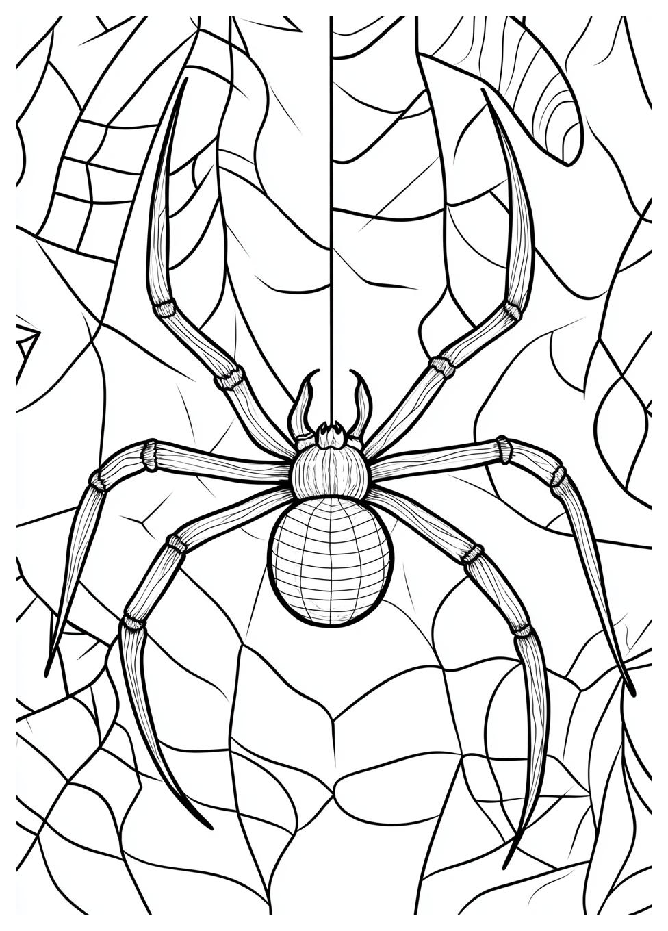 spider_coloring_pages_21