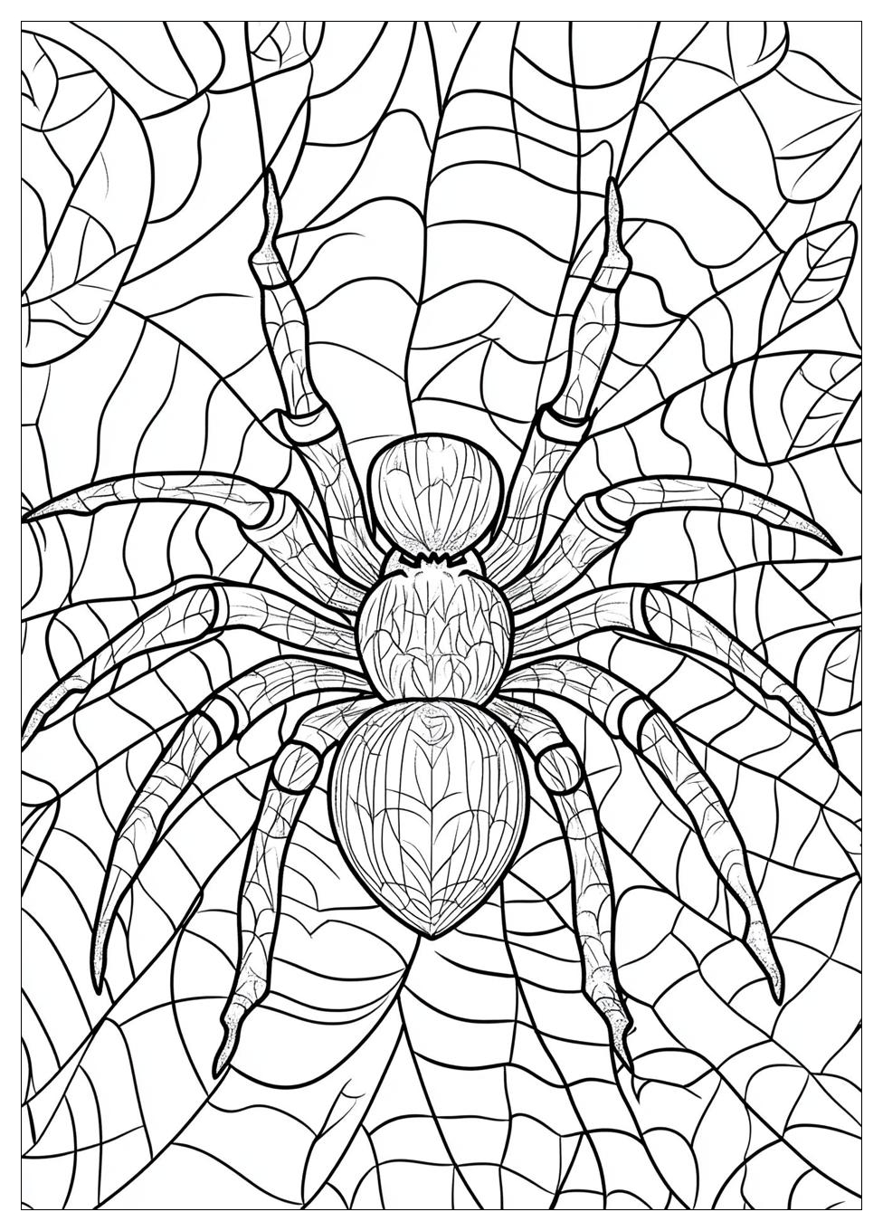spider_coloring_pages_23