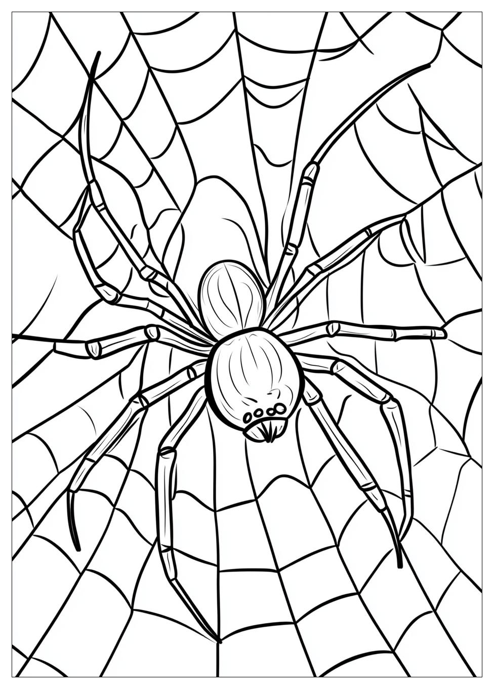 spider_coloring_pages_4
