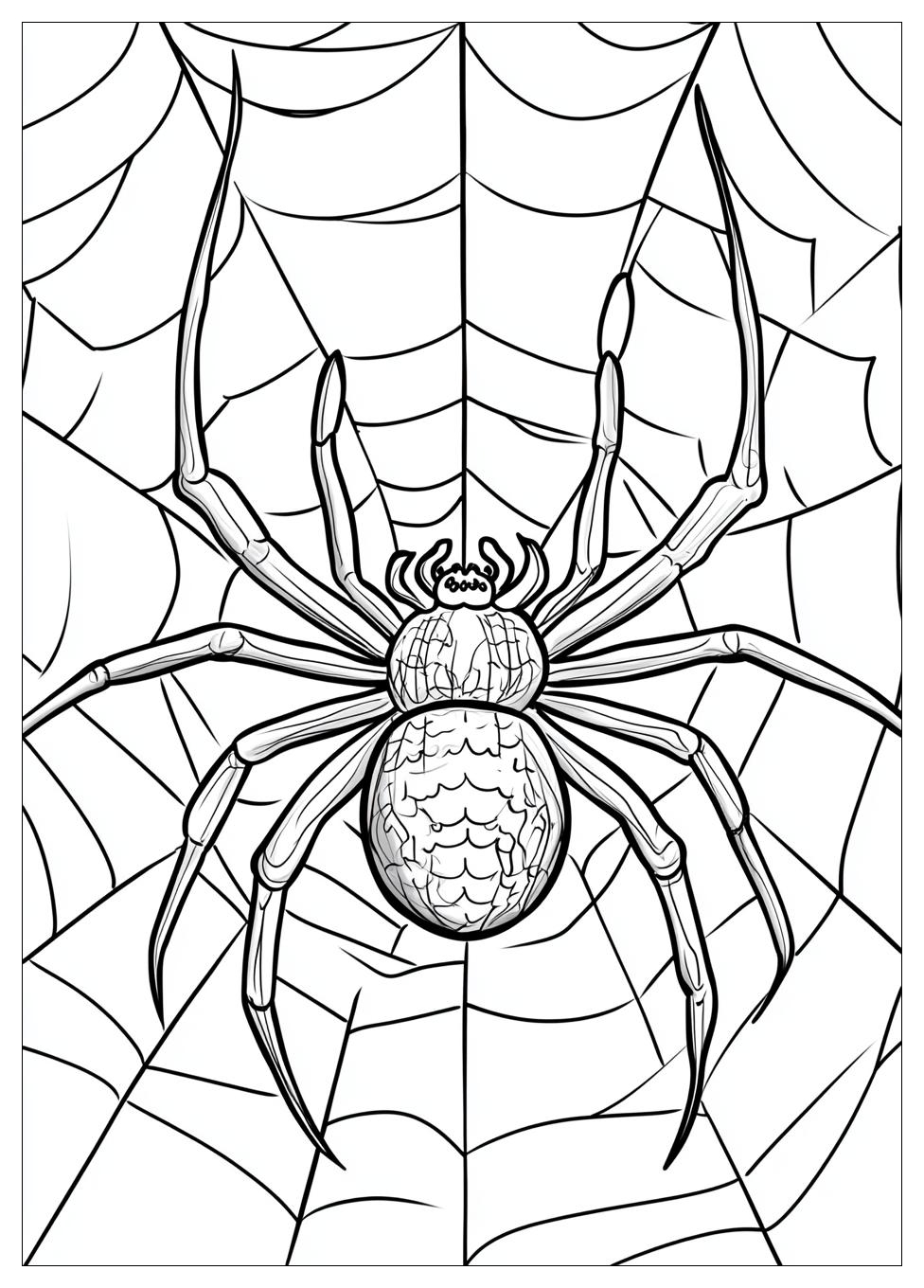 spider_coloring_pages_6