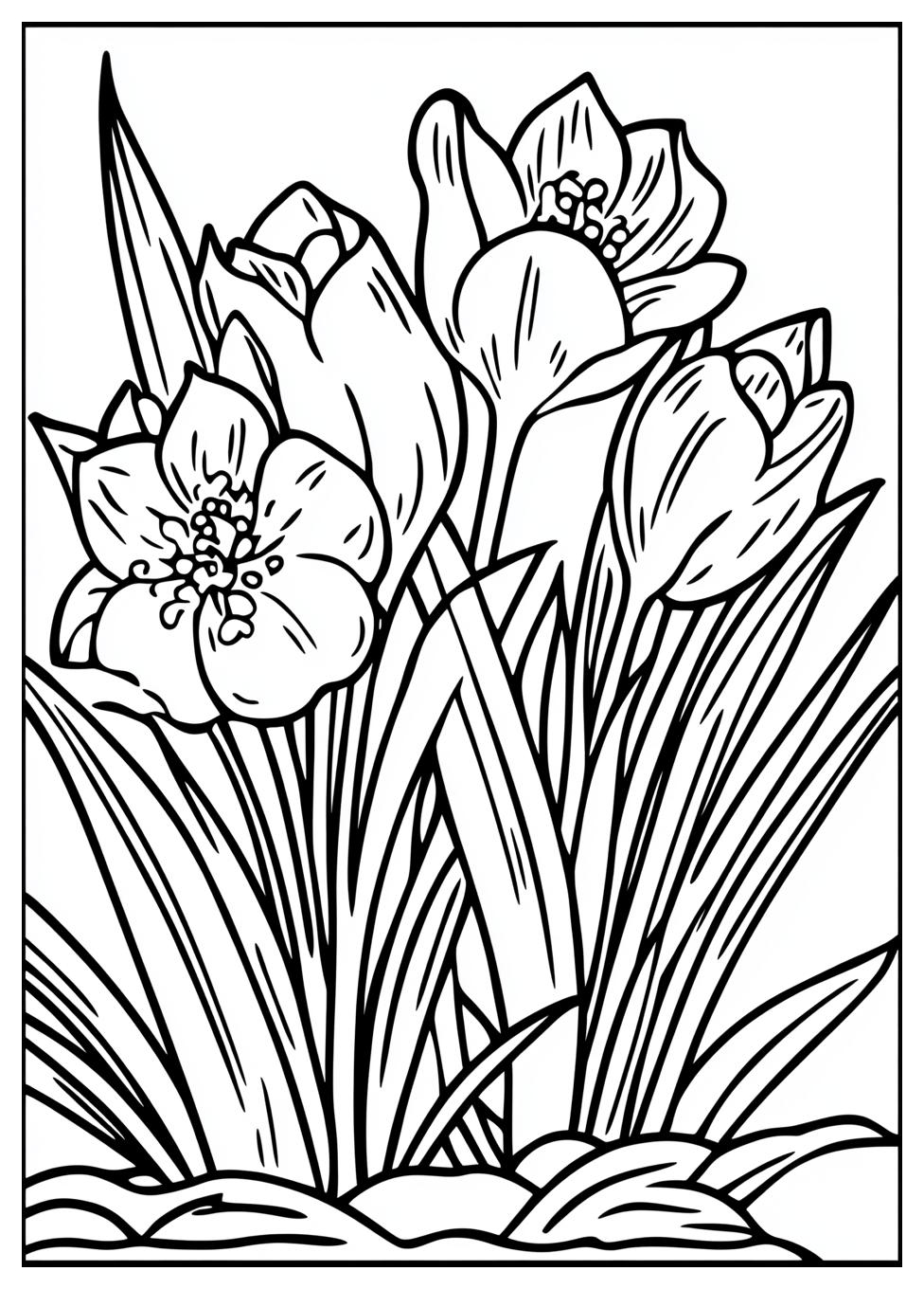 spring_coloring_pages_15