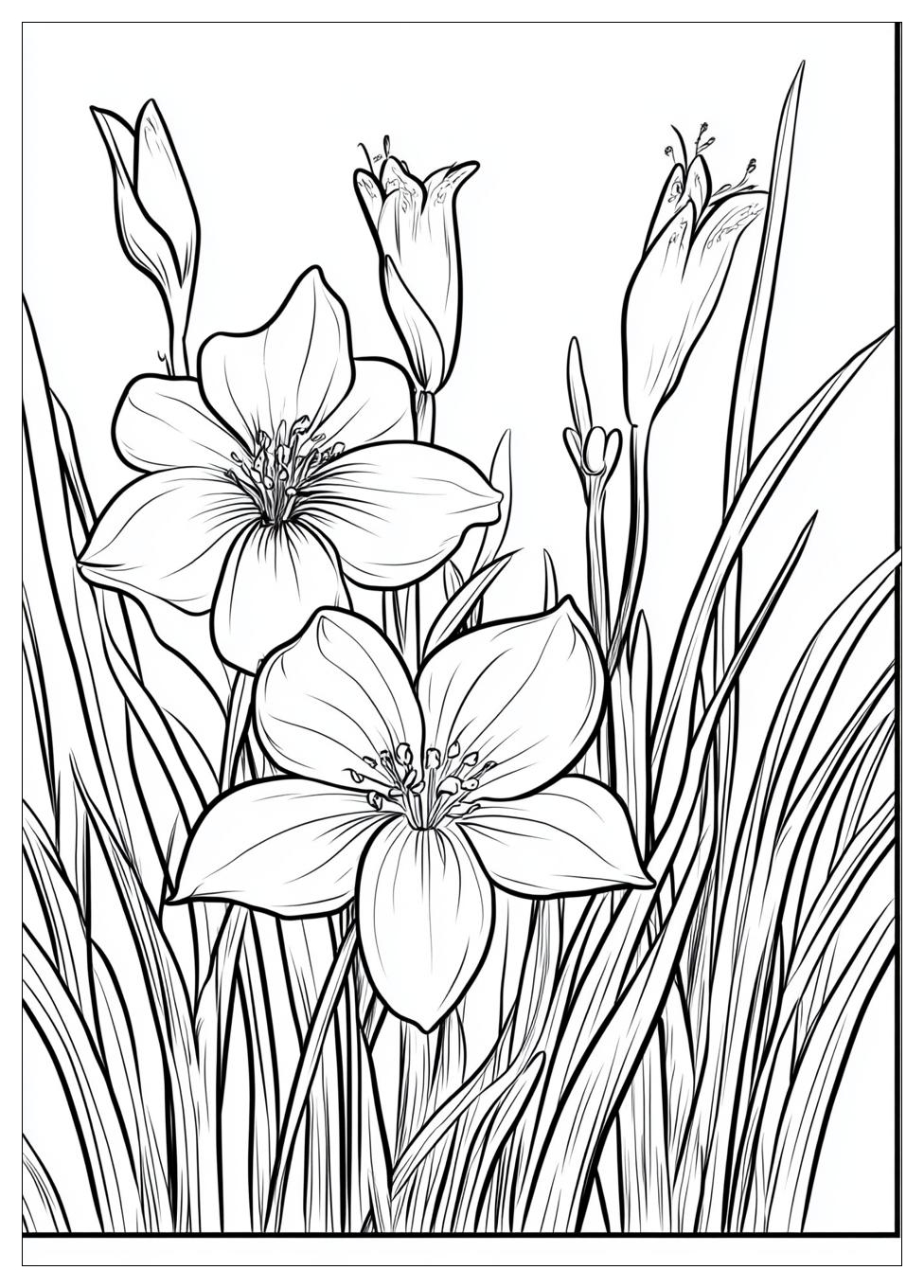 spring_coloring_pages_9